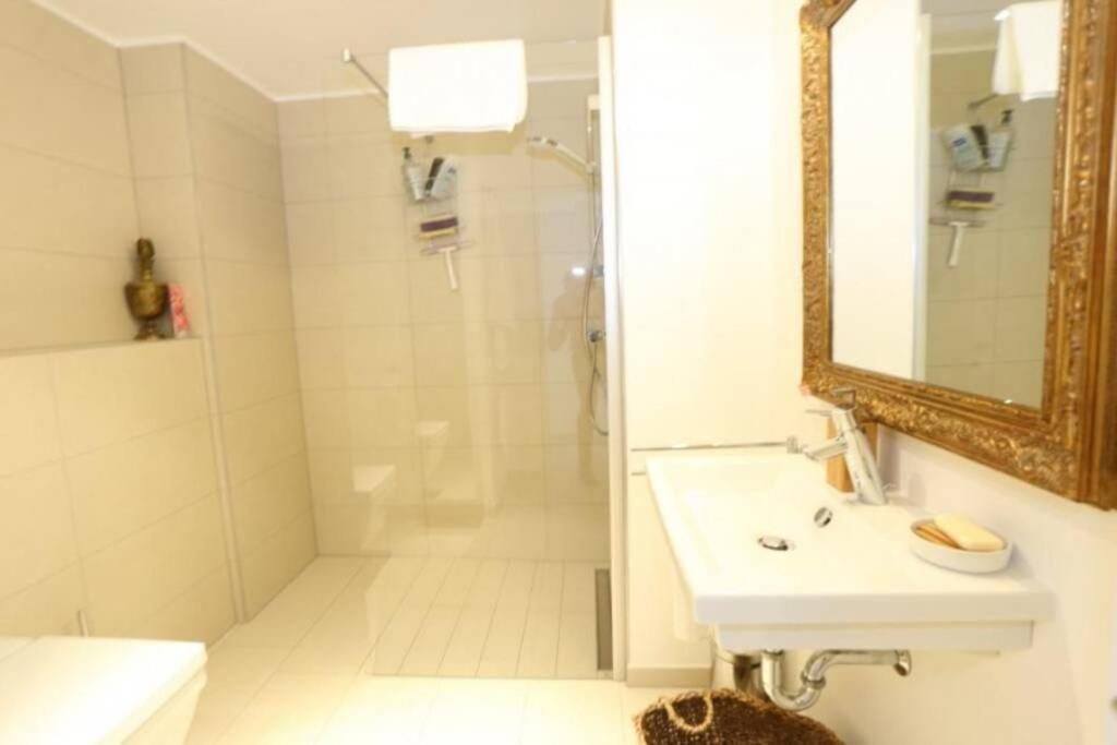 Large Family Retro Flat In City Center- Large Terrace & Garden View, Free Parking Luxembourg Ngoại thất bức ảnh
